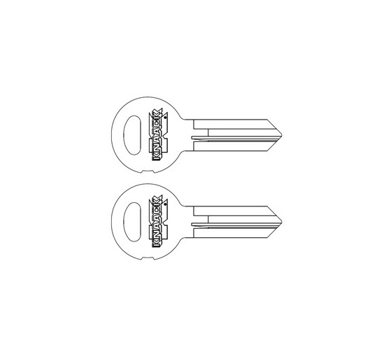KNAACK 70022-221 PART KEY # M221 REPLACEMENT KEYS ONLY: SET OF 2